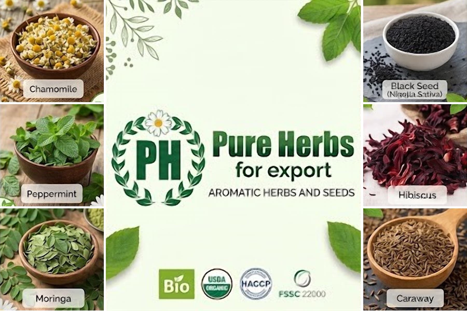 Pure Herbs for export